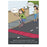 My Safety Comic & Colouring Book 